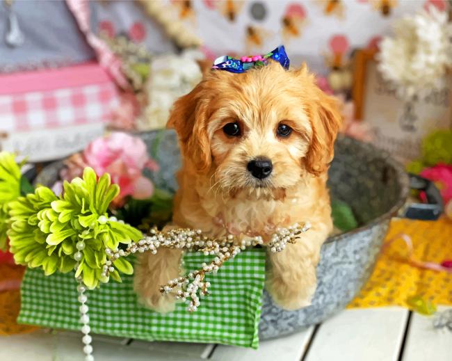 cute-cavachon-puppy-paint-by-number