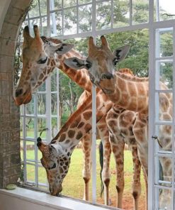 cute-curious-giraffes-paint-by-numbers