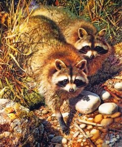 cute-raccoons-paint-by-numbers