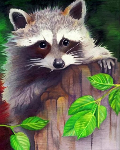 cute-racoon-paint-by-number