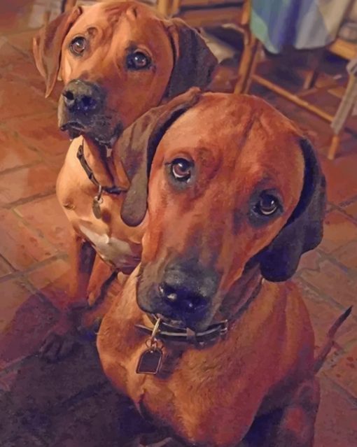 cute-rhodesian-ridgeback-dogs-paint-by-numbers