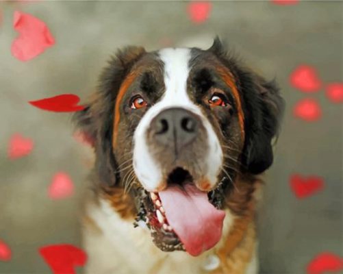 cute-saint-bernard-paint-by-numbers