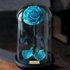 cyan-glass-rose-paint-by-number