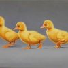 ducks-in-a-row-paint-by-numbers