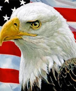 eagle-usa-flag-paint-by-numbers