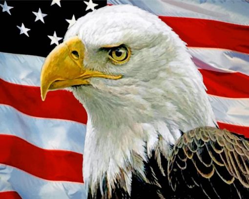 eagle-usa-flag-paint-by-numbers