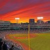 fenway-park-of-australia-paint-by-number