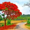 flamboyant-tree-spring-season-paint-by-numbers