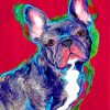 french-bulldog-paint-by-numbers