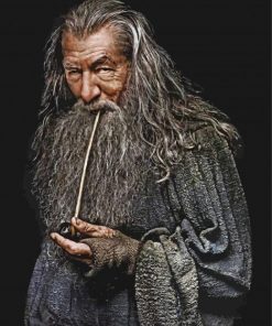 gandalf-paint-by-number