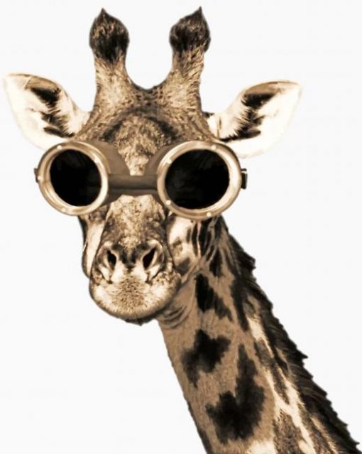 giraffes-with-sunglasses-paint-by-number
