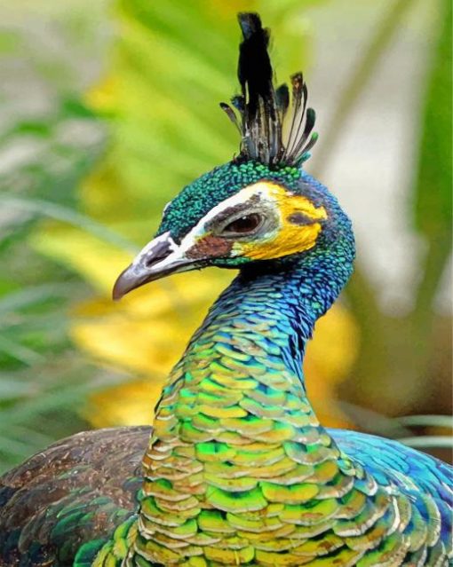 green-peafowl-paint-by-numbers