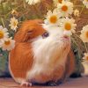 guinea-pig--and--daisy-flowers-paint-by-numbers