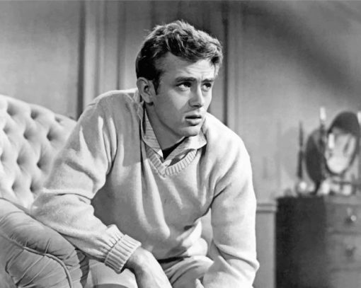 handsome-james-dean-paint-by-number