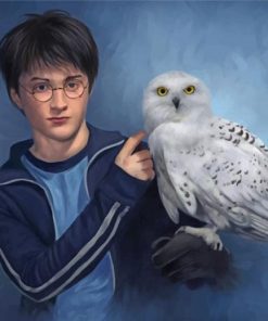 harry-potter-and-his-white-owl-paint-by-number