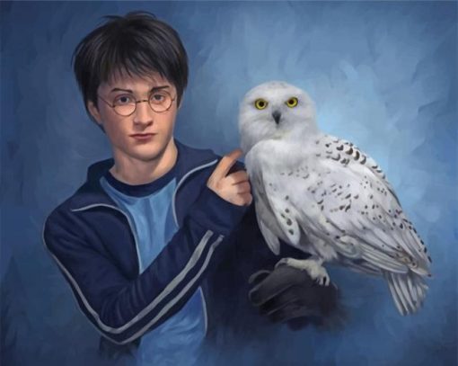 harry-potter-and-his-white-owl-paint-by-number