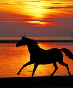 horse-on-beach-silhoouette-paint-by-numbers