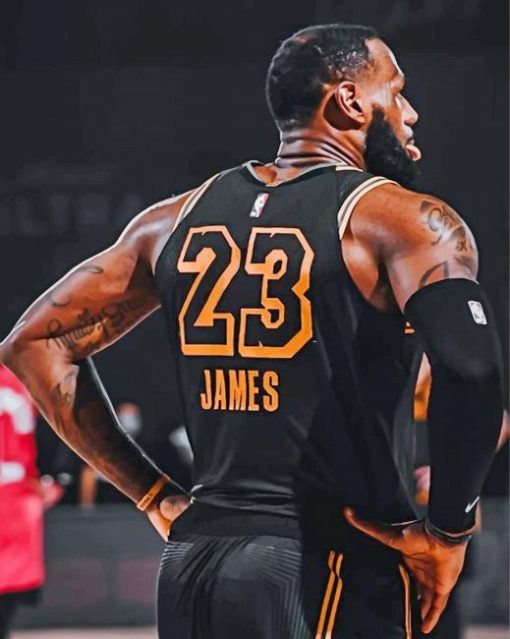 james-lebron-paint-by-numbers