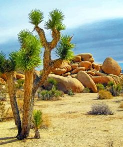 joshua-tree-paint-by-number