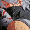kakashi-paint-by-number