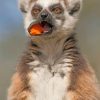 lemur-eating-paint-by-numbers