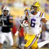 lsu-tigers-player-paint-by-numbers