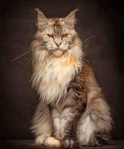 mad-maine-coon-paint-by-numbers