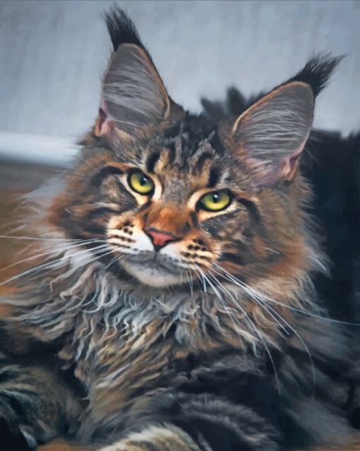 maine-coon-cat-paint-by-numbers