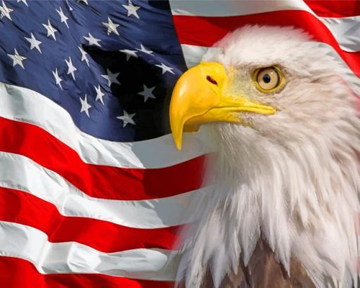 patriotic-eagle-paint-by-numbers