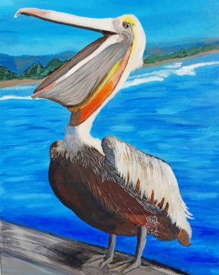 Pelican Bird - Paint By Number - Num Paint Kit