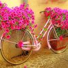 pink-bicycle-with-flowers-paint-by-number