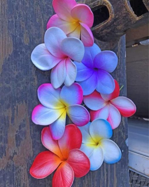 plumeria-flowers-paint-by-numbers