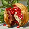 pomegranate-paint-by-numbers