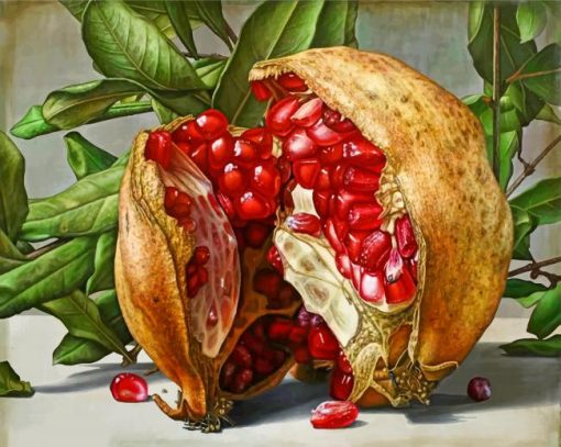 pomegranate-paint-by-numbers