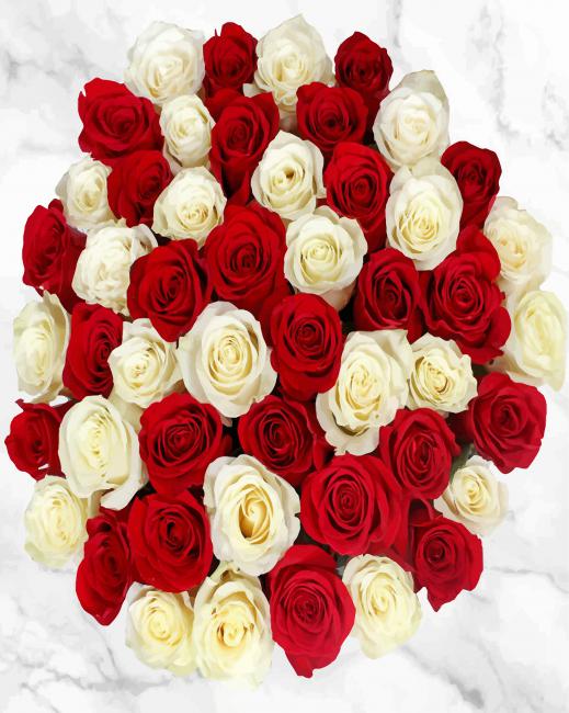 red-znd-white-roses-paint-by-number