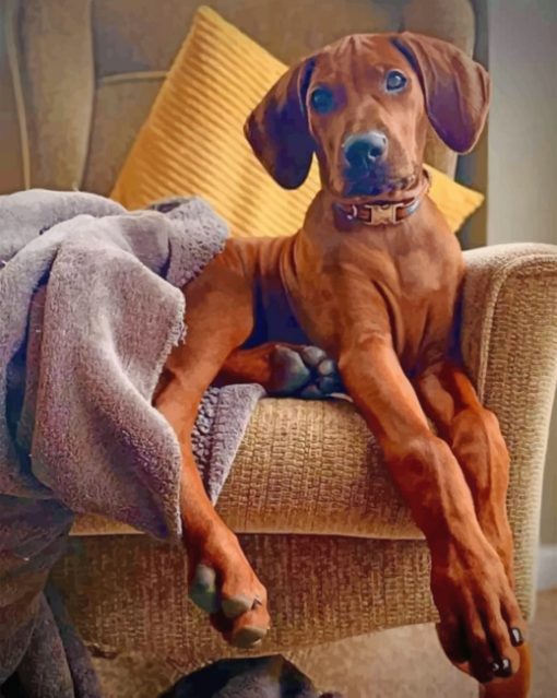 rhodesian-ridgeback-paint-by-numbers