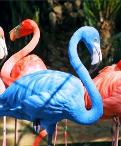 south-american-blue-flamingo-paint-by-number