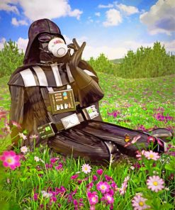 star-wars-enjoying-the-spring-paint-by-number