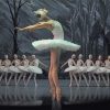 swan-lake-ballerinas-paint-by-numbers