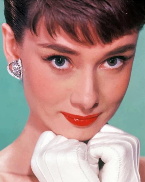 the-beautiful-audrey-hepburn-paint-by-number