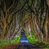 the-dark-hedges-of-northern-ireland-paint-by-numbers