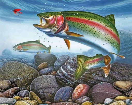 trout-fish-paint-by-number