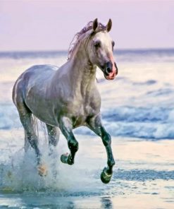 white-horse-running-on-beach-paint-by-numbers