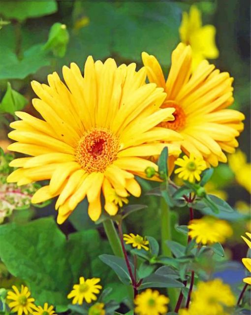 Yellow Garbera Daisy paint by numbers