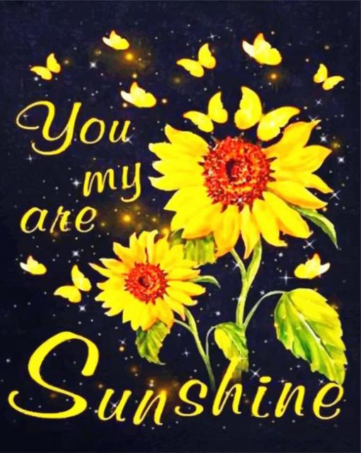 you-are-my-sunshine-paint-by-numbers