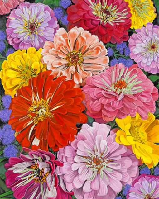 zinnias-flowers-paint-by-numbers