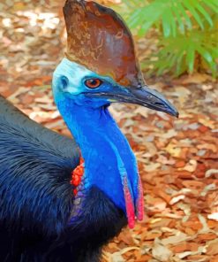 Cassowary-bird-paint-by-numbers