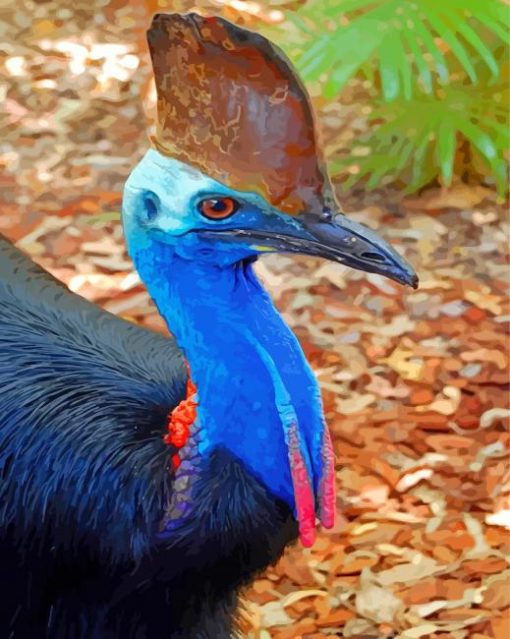 Cassowary-bird-paint-by-numbers