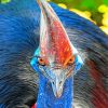 Cassowary-paint-by-numbers