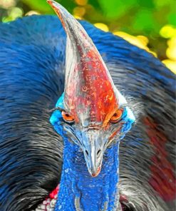 Cassowary-paint-by-numbers